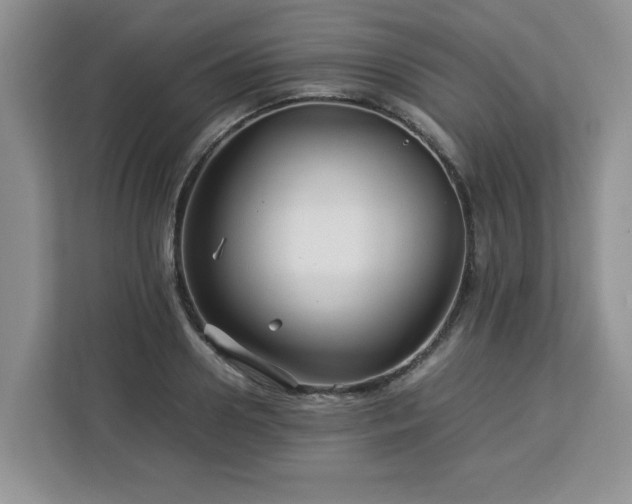 X0000113070938200908281151