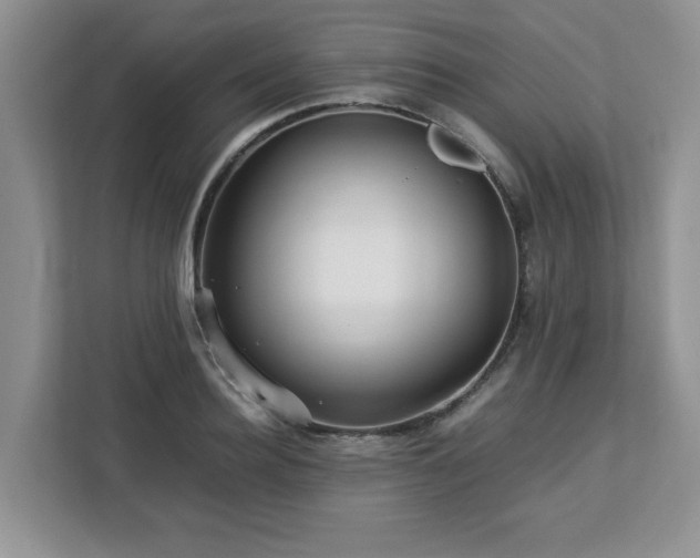 X0000113070940200908281151
