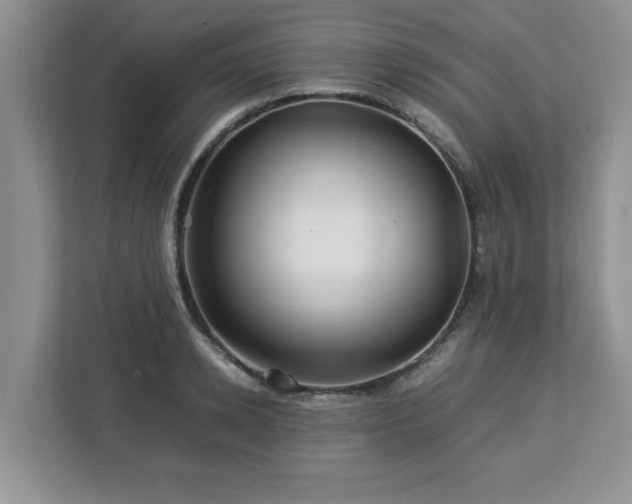 X0000113070942200908281151