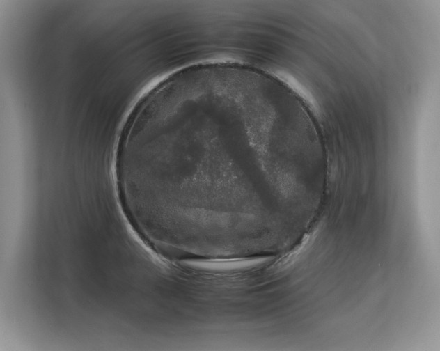 X0000113070943200908281151