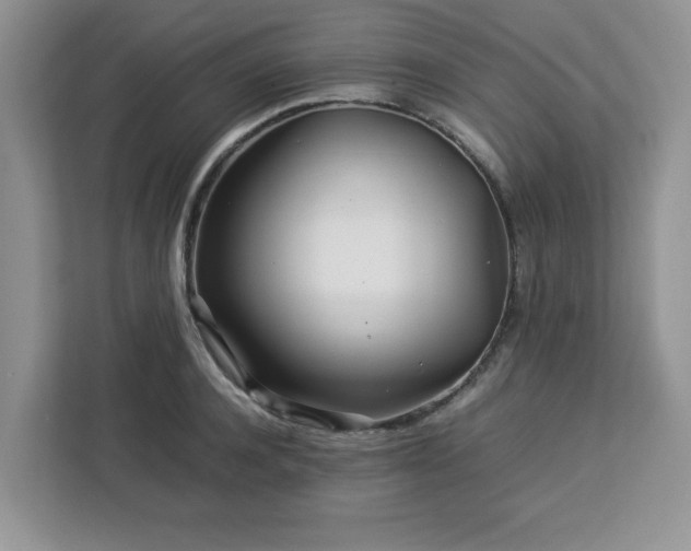X0000113070944200908281151