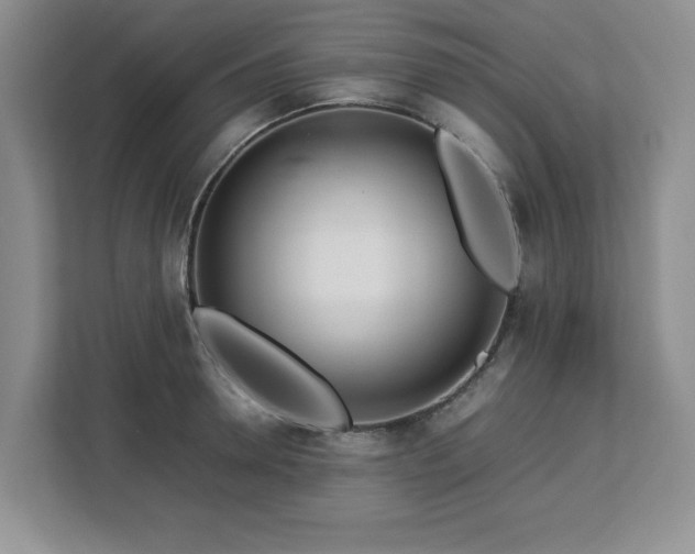 X0000113070946200908281151
