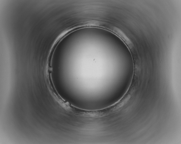 X0000113070948200908281151