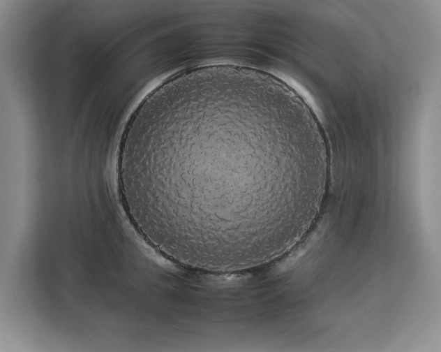 X0000113070949200908281151