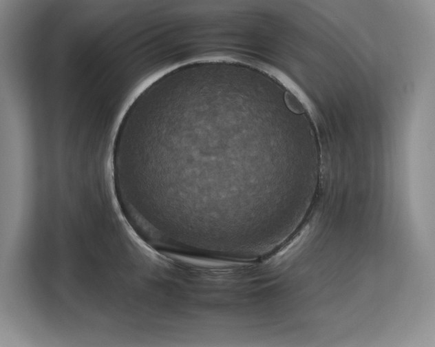 X0000113070951200908281151
