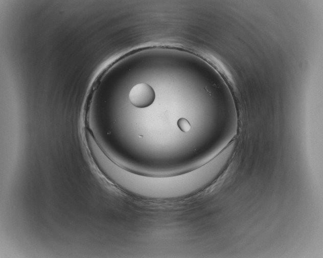 X0000113070952200908281151