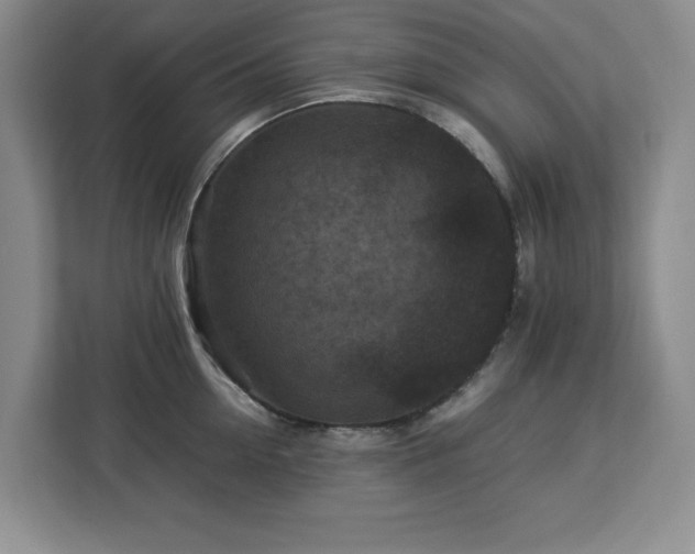 X0000113070954200908281151