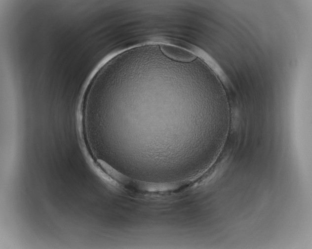 X0000113070955200908281151
