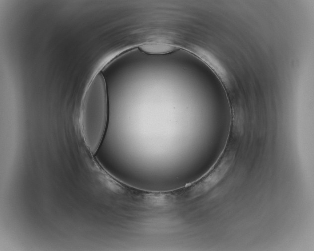 X0000113070956200908281152