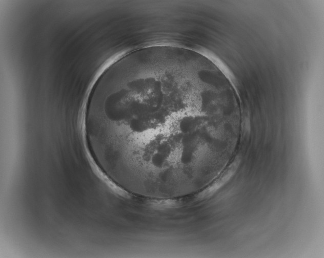 X0000113070957200908281152