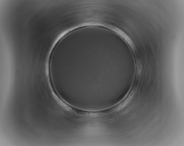 X0000113070958200908281152