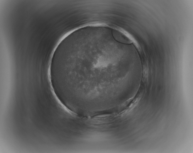 X0000113070959200908281152