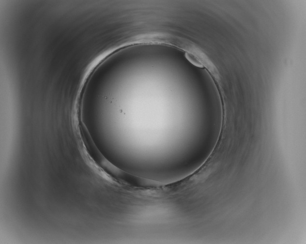 X0000113070960200908281152
