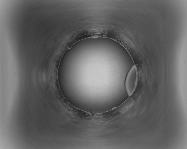 X0000113070961200908281151
