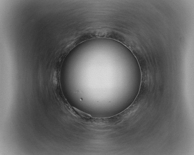 X0000113070962200908281151