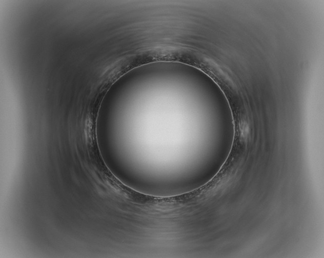 X0000113070964200908281151