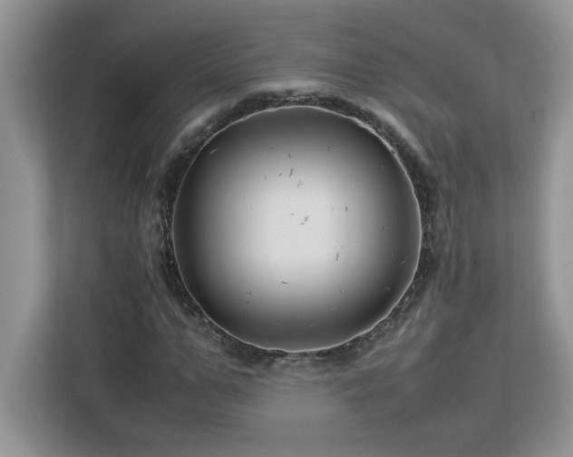 X0000113070967200908281151