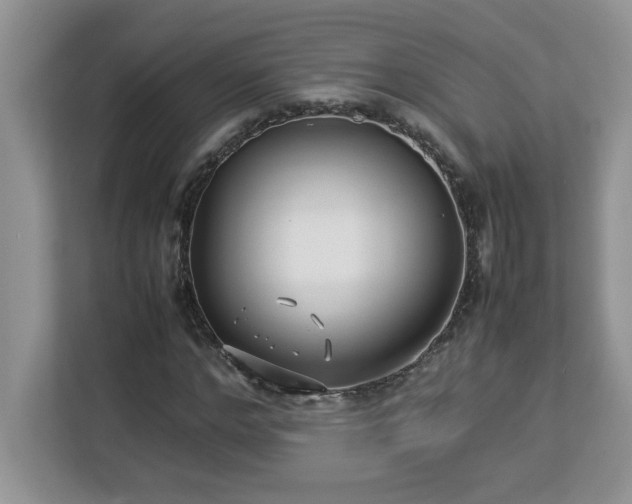 X0000113070968200908281151