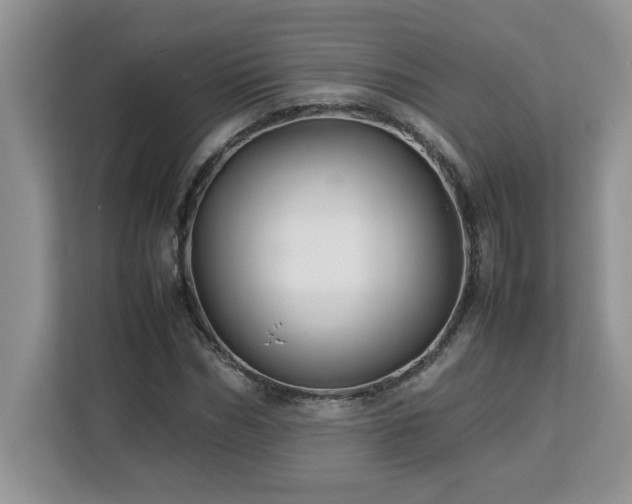 X0000113070970200908281151