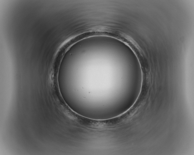 X0000113070971200908281151