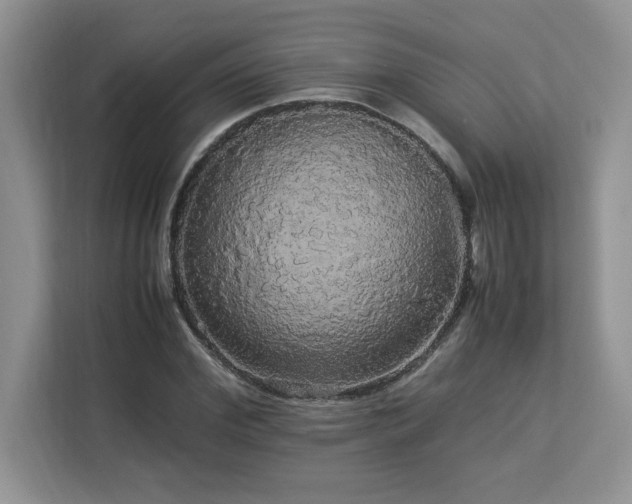 X0000113070972200908281151