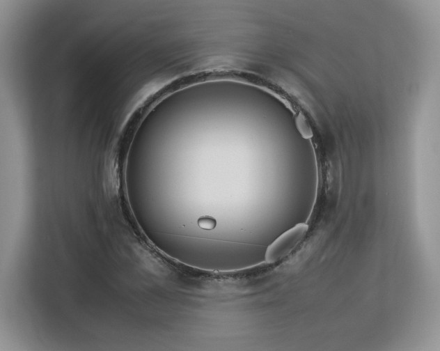 X0000113070973200908281151