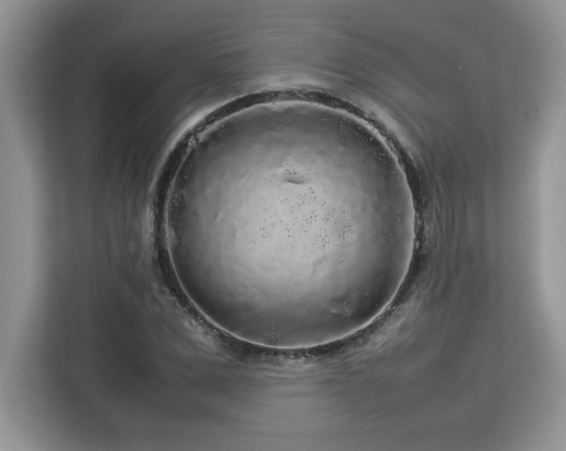 X0000113070975200908281151