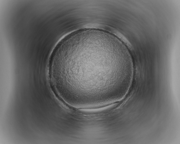 X0000113070976200908281151