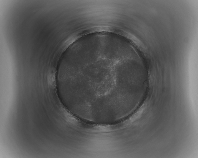 X0000113070977200908281151