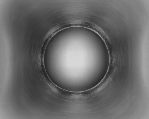 X0000113070978200908281151