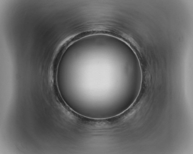 X0000113070979200908281151