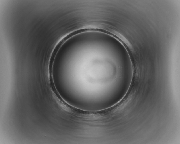 X0000113070980200908281151