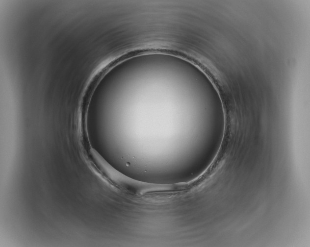 X0000113070982200908281151