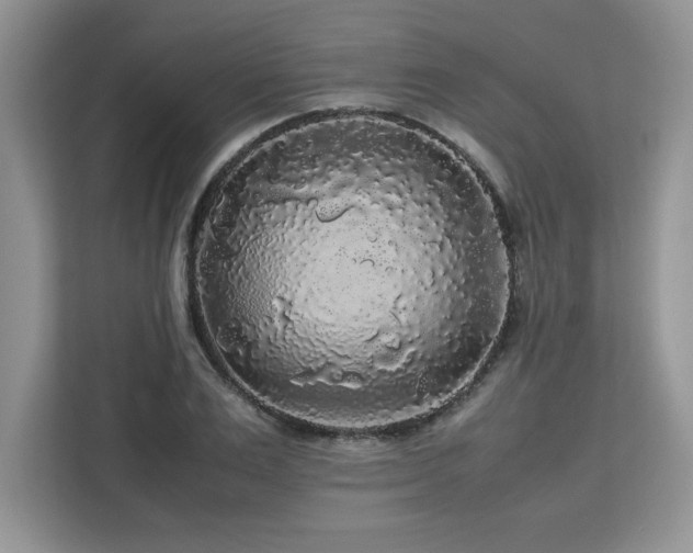 X0000113070983200908281151