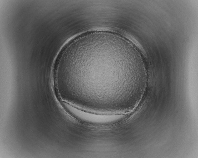 X0000113070984200908281151