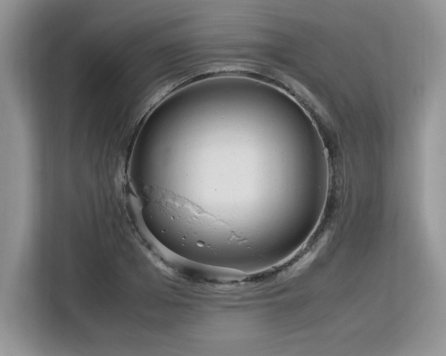 X0000113070985200908281151