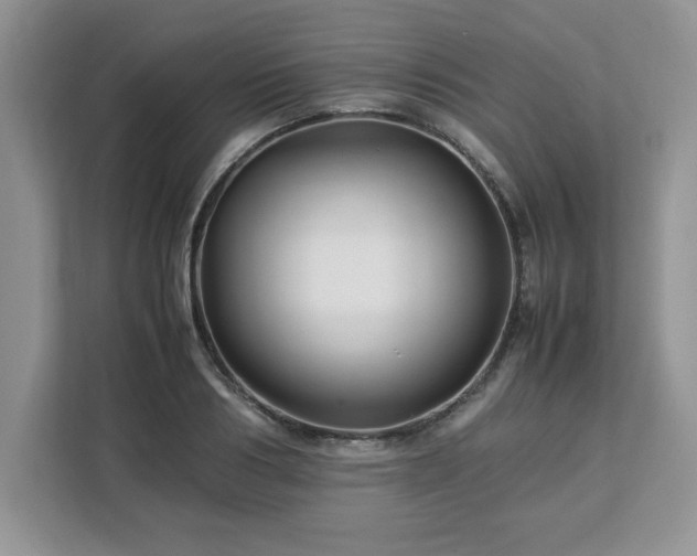 X0000113070986200908281151