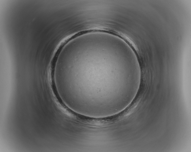 X0000113070987200908281151