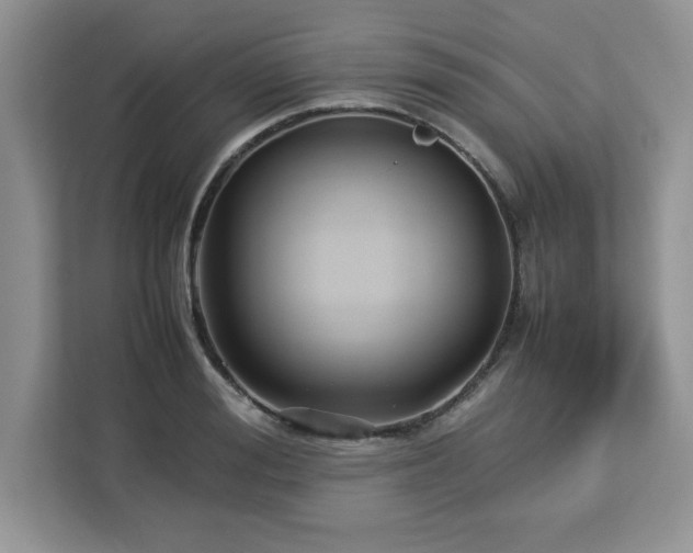 X0000113070988200908281151