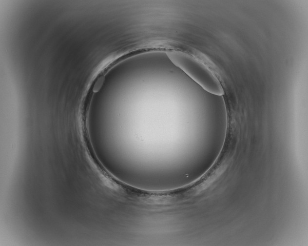X0000113070989200908281151