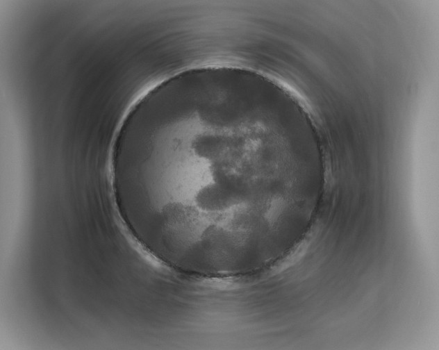 X0000113070990200908281151