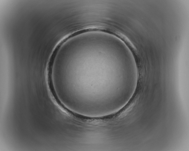 X0000113070991200908281151