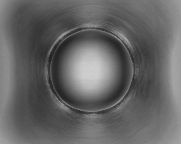 X0000113070992200908281151