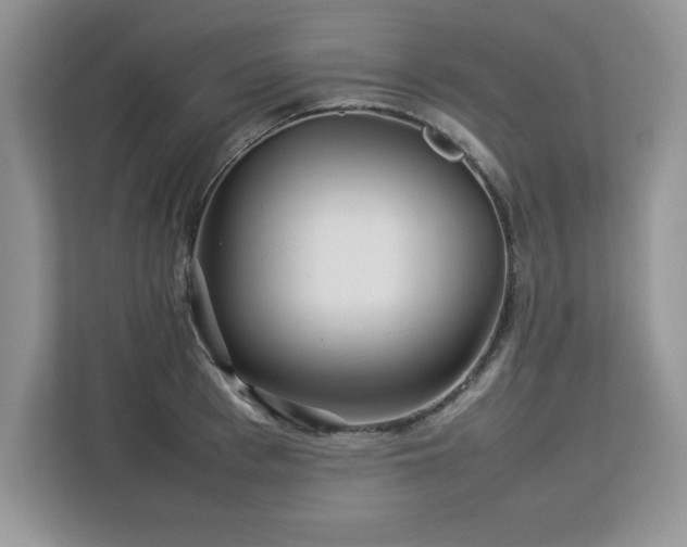 X0000113070993200908281151