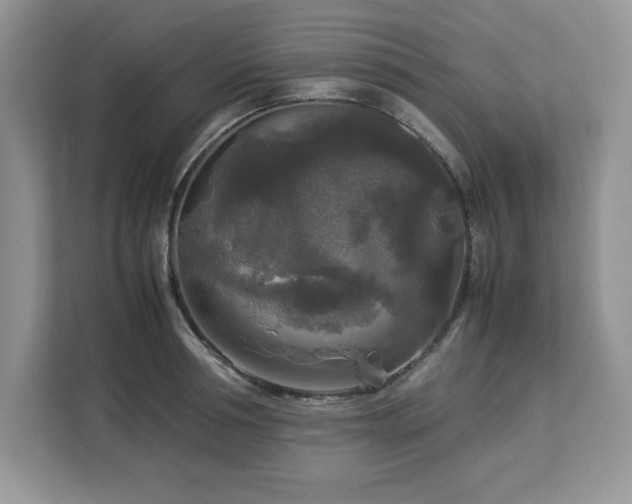 X0000113070994200908281151