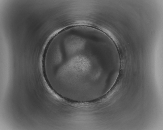 X0000113070995200908281150