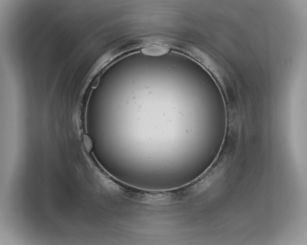 X0000113070997200908281150
