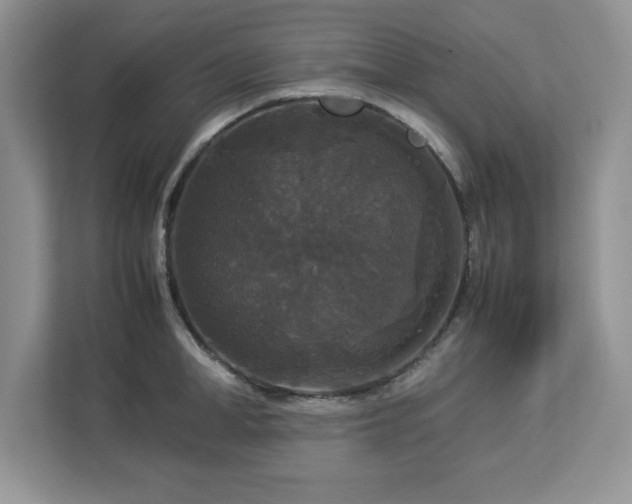 X0000113070998200908281150