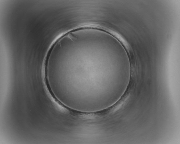 X0000113070999200908281150