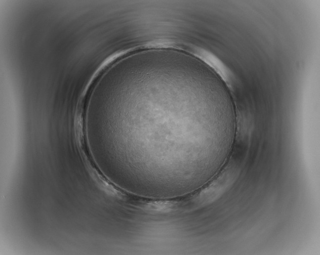 X0000113071000200908281150